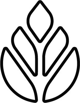Pinecone Logo